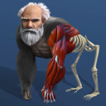 Gra Idle Evolution From Cell to Human ⏰ Podróż przez ewolucję!
